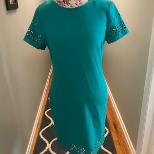 Beautiful Banana Republic SZ 10 Dress